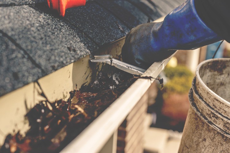 Spring thaw and Gutter Cleaning Services